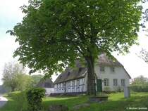 Reetdach gedecktes Haus bei Sieseby an der Schlei (Kreis Rendsburg-Eckernf�rde, Schleswig-Holstein, Mai 2010)