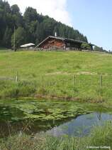 Alpe Gschwendnerberg - liegt oberhalb des Gro�en Alpsees bei Immenstadt (Oberallg�u, August 2010)