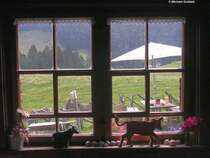 Alpe Gschwendnerberg - oberhalb des Gro�en Alpsees bei Immenstadt (Oberallg�u, August 2010)