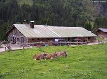Gesamtansicht der Buchrainer-Alpe im Rappenalptal (hinter Oberstdorf, Landkreis Oberallg�u, August 2010)
