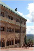 Eisenach. Der Palas der Wartburg.
11.08.2014