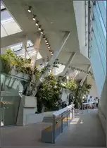 . Aufw�ndige Architektur -

Ein Blick ins Innere des Affenhauses der Wilhelma in Stuttgart. Rechte Winkel gibt es wenig.

08.06.2013 (Matthias)