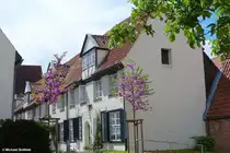 Sch�ne H�user in einem der Hinterh�fe in L�beck (Mai 2011)