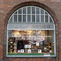 Fenster der Alte Lwen-Apotheke in der Knigstrae - Altstadt von Lbeck (Mai 2011)