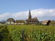 Bergheim, Pfarrkirche Maria Himmelfahrt, erbaut von 1320 bis 1347 (04.10.2014)