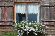 Fenster an einem alten Haus in Baad mit sich spiegelndem Wegekreuz (Kleinwalsertal/�sterreich/August 2011)