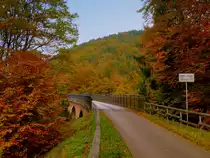 Deutschland, Rheinland-Pfalz, Eifel, Pleiner Viadukt im Herbst, L�nge 98 Meter, H�he �ber Tal 31 Meter auf dem Maare-Mosel-Radweg. Der MMR (58 km lang) verbindet Daun in der Vulkaneifel �ber die ehemaligen Bahnnebenstrecken Daun-Wengerohr und Wengerohr–Bernkastel-Kues mit dem Moseltal. 31.10.2014 