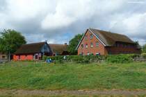 Huser in Alt-Reddwitz am Anfang der Reddevitzer Hft - Mnchgut, Rgen, Mai 2011