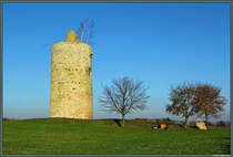 Die wahrscheinlich im 15. Jahrhundert errichtete Eichstdter Warte ist eines der Wahrzeichen des Ortes Langeneichstdt. Der einzige Zugang des Wachturms befindet sich in ca. 7,5 m Hhe. (28.10.2014)