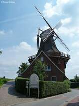 Jork-Borstel im Alten Land: Galerie-Hollnder-Windmhle  Aurora  (Juli 2014)