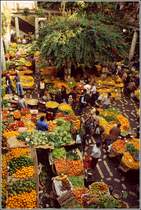 Madeira. Blick in die Markthalle (Mercado dos Lavradores) in Funchal mit seinen Obst- und Gem�sest�nden. Scan eines Dias vom Januar 1995. 