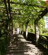 Z�rich, Villa Bleuler, Pergola - 04.09.2014