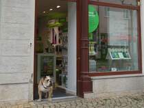 Abschreckungsmanahme gegen potentielle Diebe ? - ein Mobilfunkladen in Dbeln; 20.07.2015
