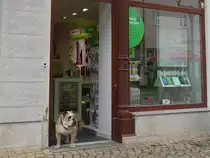 Abschreckungsma�nahme gegen potentielle Diebe ? - ein Mobilfunkladen in D�beln; 20.07.2015
