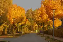 Gartenstadtallee in Flensburg. Aufnahmedatum: 20. Oktober 2010.