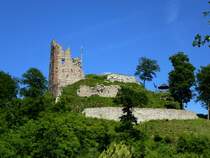 Ruine Schenkenburg, auf dem 391m hohen Umlaufberg im oberen Kinzigtal, erbaut 1220-50, 1534 zerstrt, Mai 2015