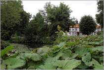 Harpstedt. Der dreiflgelige Amtshof wurde 1741-1744 auf den Grundmauern des abgebrochenen Wasserschlosses der Grafen von Delmenhorst in Fachwerkbauweise errichtet. Heute ist hier die Verwaltung der Samtgemeinde Harpstedt untergebracht. 27.08.2015