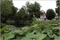 Harpstedt. Der dreifl�gelige Amtshof wurde 1741-1744 auf den Grundmauern des abgebrochenen Wasserschlosses der Grafen von Delmenhorst in Fachwerkbauweise errichtet. Heute ist hier die Verwaltung der Samtgemeinde Harpstedt untergebracht. 27.08.2015