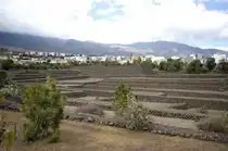 Die Pyramiden in G��mar. Aufnahme: Oktober 2008.