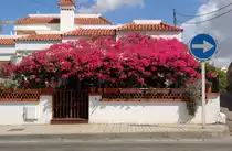 Haus in Agaete - Aufnahme: Oktober 2009.