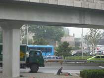 Im kommunistischen China gibt es starke soziale Unterschiede. Eine soziale Absicherung scheint es nicht zu geben, und so trifft man �fters auf sehr verarmte, auch manchmal verst�mmelte, Obdachlose. Die kommunistische oder sozialistische Komponente ist f�r den Au�enstehenden nur sehr schwer zu erkennen. Peking, 09/2007