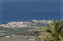 Playa Paraiso - Teneriffa. Aufnahme: Oktober 2008.