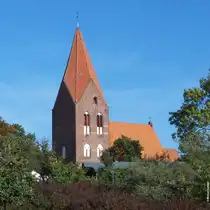 Der m�chtige Turm der St.-Johannes-Kirche in Rerik ragt aus den umstehenden B�umen hervor (Landkreis Rostock, Oktober 2012)