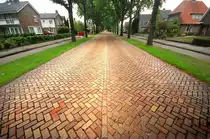 Der Esweg in Beilen. Aufnahme: Mai 2011.