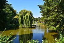 Weiher mit Weide im Schillerpark in Euskirchen - 03.08.2015