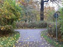 Ein paar Meter weiter folgt eine Gabelung. Rechts oder links? Wer sich hier falsch entscheidet, begeht eine Ordnungswidrigkeit, weil in Gr�nanlagen nicht radgefahren werden darf. Dann darf das Ordnungsamt zur Kasse bitten.

Es geht nach links weiter. 2.11.2007