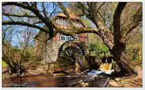 Wasserm�hle an der Wieste in Stuckenborstel, April 2013