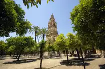 La Mezquita - C�rdoba. Aufnahmedatum: 16. Juli 2014.