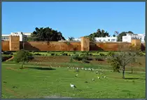 Die gut erhaltene Stadtmauer von Rabat wurde im 12. Jahrhundert errichtet. Hier ist ein Teilabschnitt nahe der Chellah zu sehen. Das Gebiet ist ein beliebter Nistplatz von St�rchen. (Rabat, 23.11.2015)