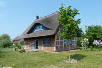 Fachwerk-Neubau in Gager oberhalb des Hagenschen Wieks (Mnchgut - Rgen, Mai 2011)