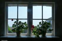 Blick hinaus aus dem Museum Pfarrwittwenhaus in Gro Zicker (Mnchgut, Rgen, Mai 2011)