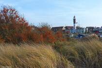 Sanddornbsche neben dem Hafen und dahinter der Leuchtturm in Timmendorf auf der Insel Poel (Landkreis Nordwestmecklenburg, November 2011)