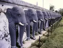Die Elefanten-Reihe am Ruwanwelisaya Stupa bei Anuradhapura. Aufnahme: Januar 1989 (Bild vom Dia).