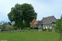 St.-Katharinen-Kirche und daneben das Schulmuseum in Middelhagen (M�nchgut, R�gen / Mai 2011)