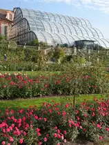 Palmenhaus auf der Insel Mainau (03.10.2015)