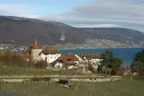 Blick auf das Schloss Erlach; 20.02.2016