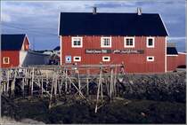 Henningsvr. Die Galleri Karl Erik Harr war einen Besuch wert. Scan eines Dias vom Juni 1994.