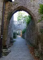 Baden-Baden, Aufgang zur Burg Hohenbaden, heute Altes Schlo� genannt, Aug.2015 