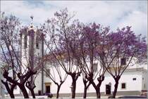 Estoi. Hinter den violett blhenden Bumen des Largo Gen. Humberto Delgado erhebt sich die 
Igreja Matriz de Estoi. Scan eines Dias vom Ende der 1990er Jahre.