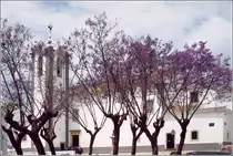 Estoi. Hinter den violett bl�henden B�umen des Largo Gen. Humberto Delgado erhebt sich die 
Igreja Matriz de Estoi. Scan eines Dias vom Ende der 1990er Jahre.