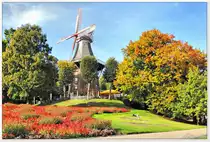 Die M�hle am Wall, im Zentrum der Hansestadt Bremen, Oktober 2012