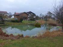 Kleiner Teich am Dorfplatz von Trring (15.02.2016)