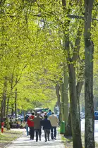 Gehweg an der Wojska Polskiego (fr�her: Swinem�nder Chaussee) westlich von Świnoujście. Aufnahme: 5. Mai 2016.