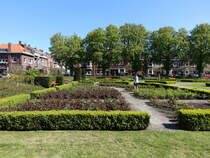Im Rosengarten Rosarium von Venlo (05.05.2016)