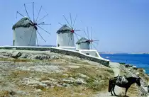 Windm�hlen in der Stadt Mykonos. Bild vom Dia. Aufnahme: Juni 1992.