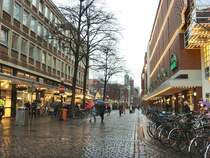 M�nster im Regen, Dezember 2007